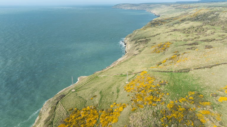 Stretch of coastline showing dramatic cliffs and grassland scattered with yellow gorse.